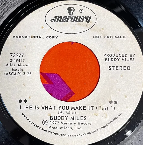 Life Is What You Make It