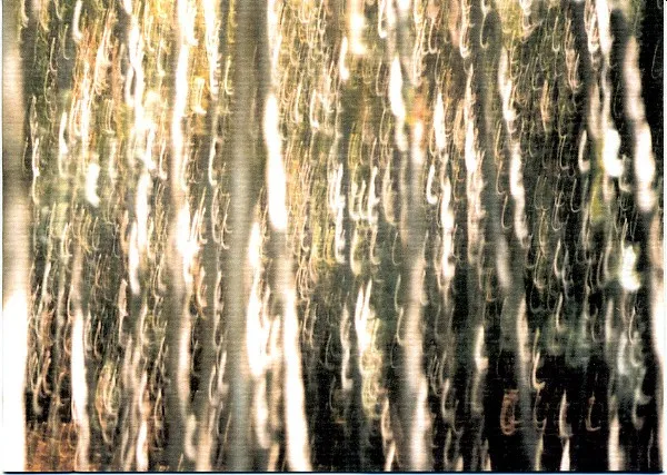 Les Oscillations