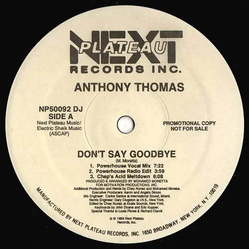 Don't Say Goodbye