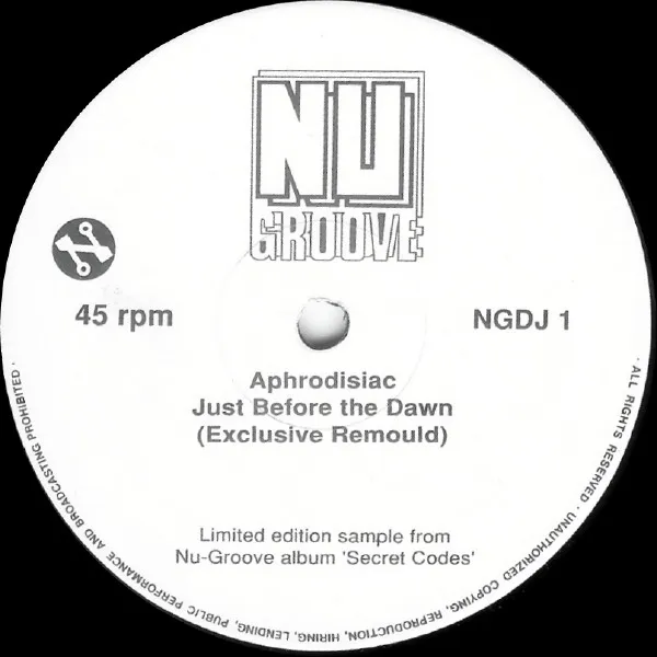 Nu Groove - Secret Codes (LP Sampler)