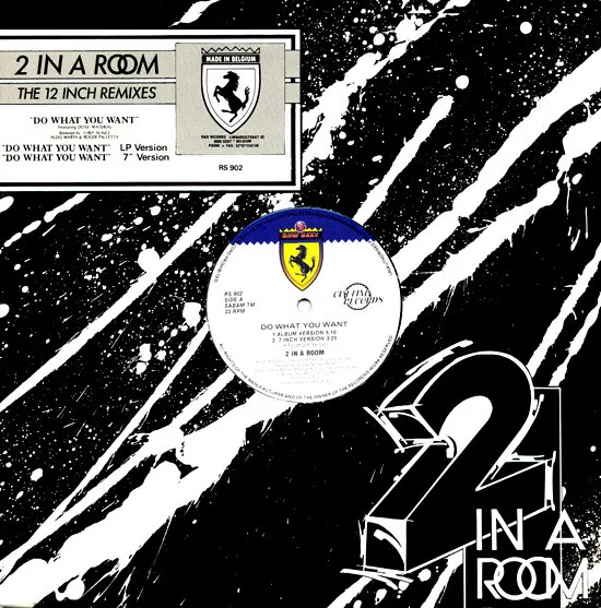 Do What You Want (The 12 Inch Remixes)