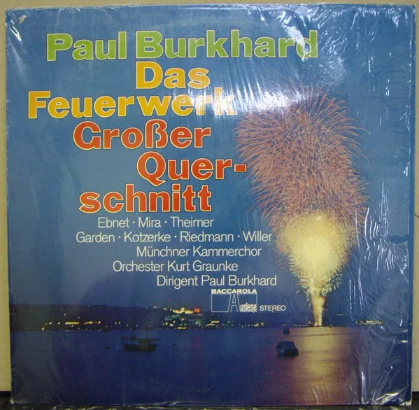 Das Feuerwerk