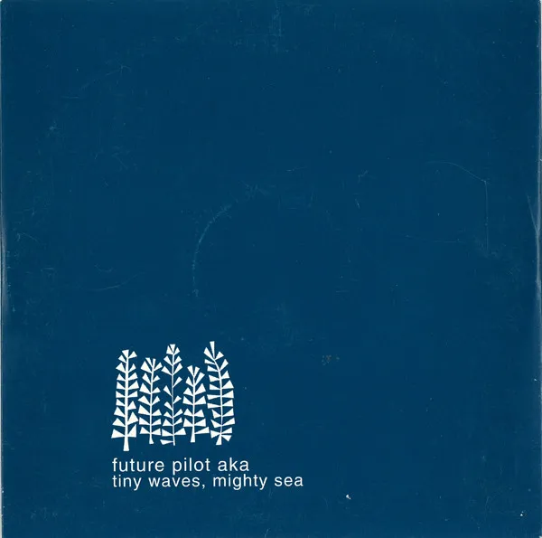 Tiny Waves, Mighty Sea