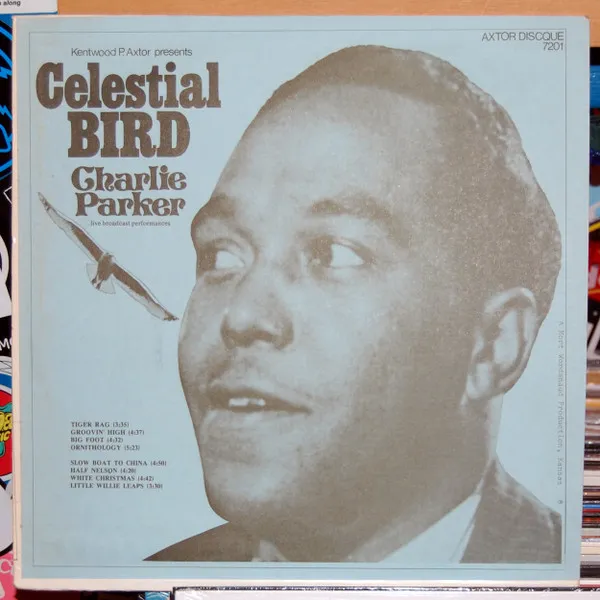 Celestial Bird