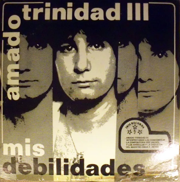 Mis Debilidades