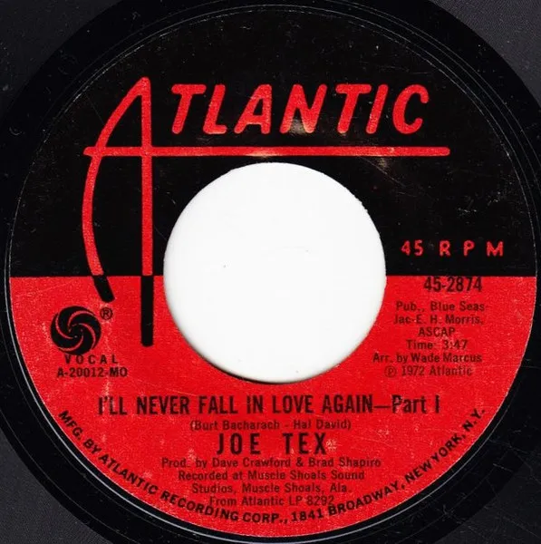 I'll Never Fall In Love Again