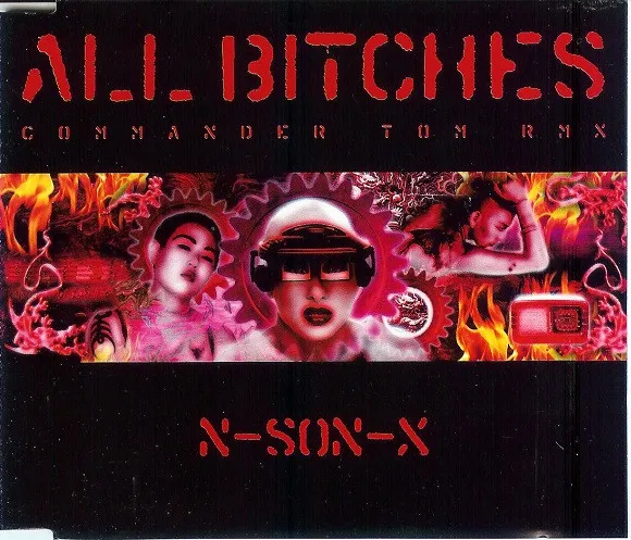 All Bitches (Commander Tom Rmx)