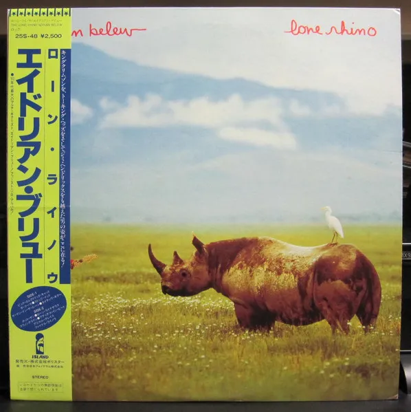 Lone Rhino
