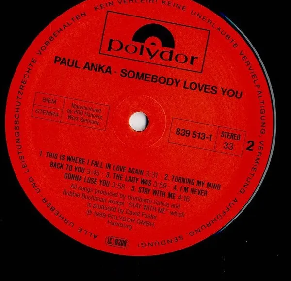 Somebody Loves You