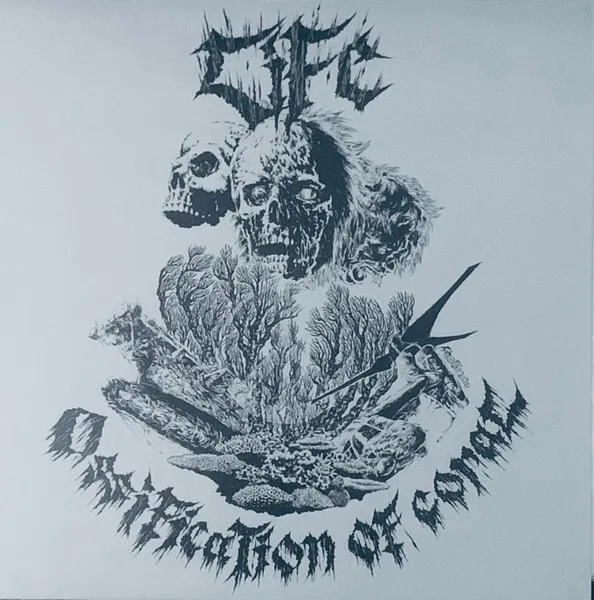 Ossification Of Coral
