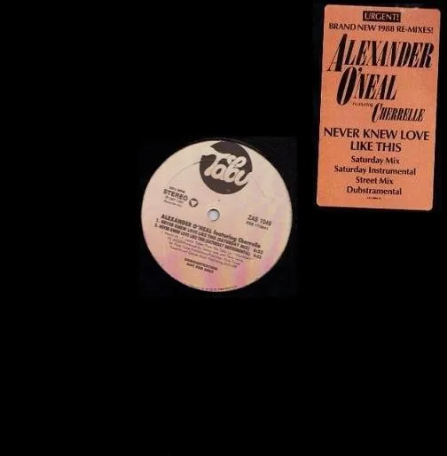 Never Knew Love Like This (1988 Re-Mixes)