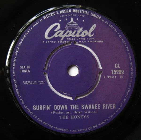 Surfin' Down The Swanee River