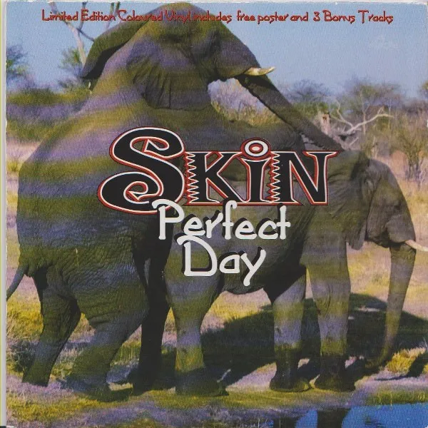 Skin