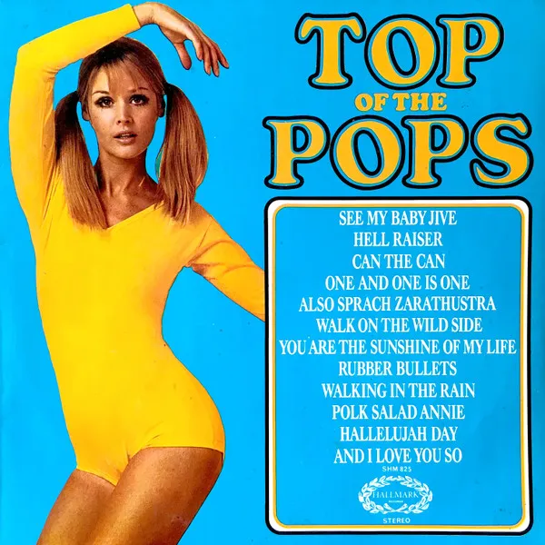 Top Of The Pops Vol. 31
