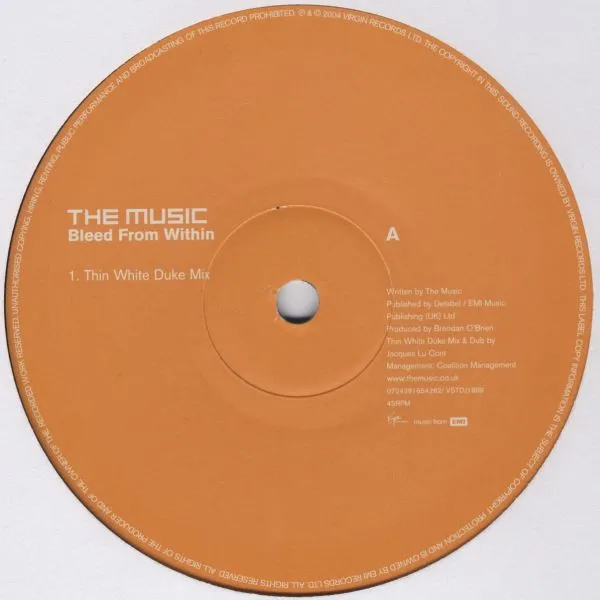 Bleed From Within (Thin White Duke Mixes)