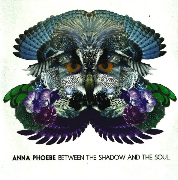 Between The Shadow And The Soul