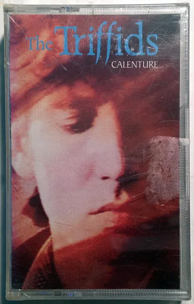 Calenture