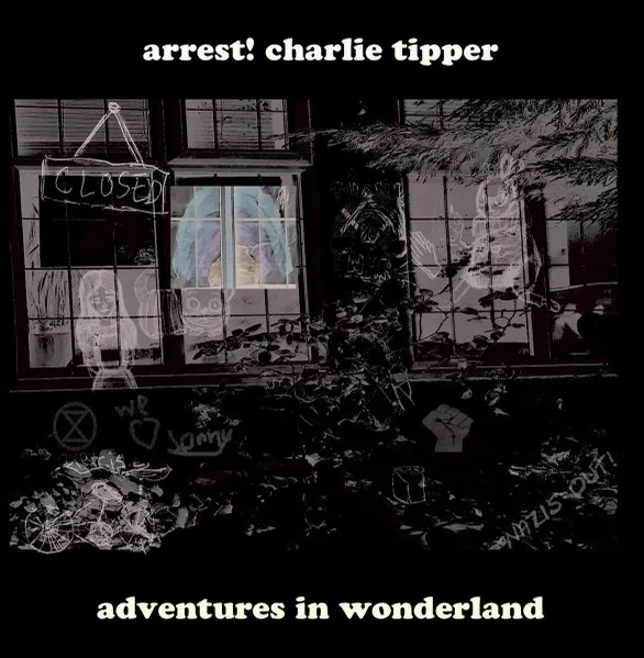 Adventures In Wonderland