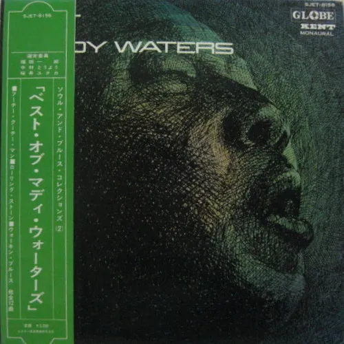 Best Of Muddy Waters