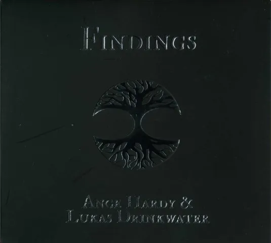 Findings