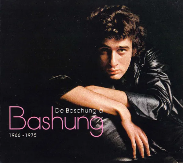 De Baschung a Bashung
