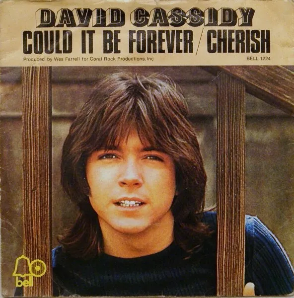 Could It Be Forever / Cherish