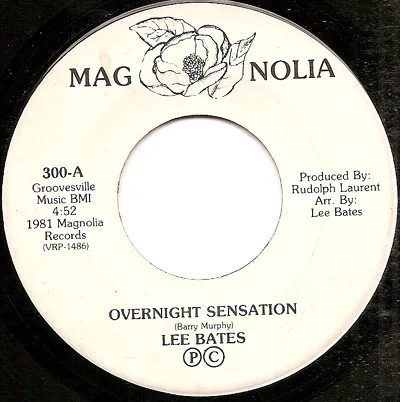 Overnight Sensation / Hooked On A Feeling