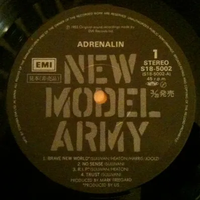 NEW MODEL ARMY