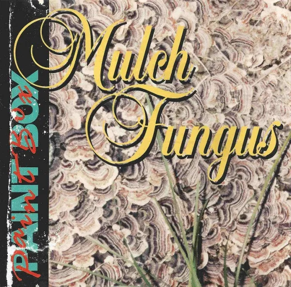 Mulch Fungus