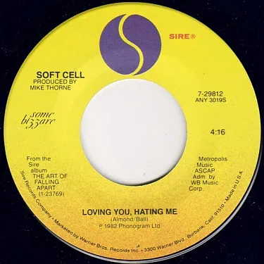Loving You, Hating Me