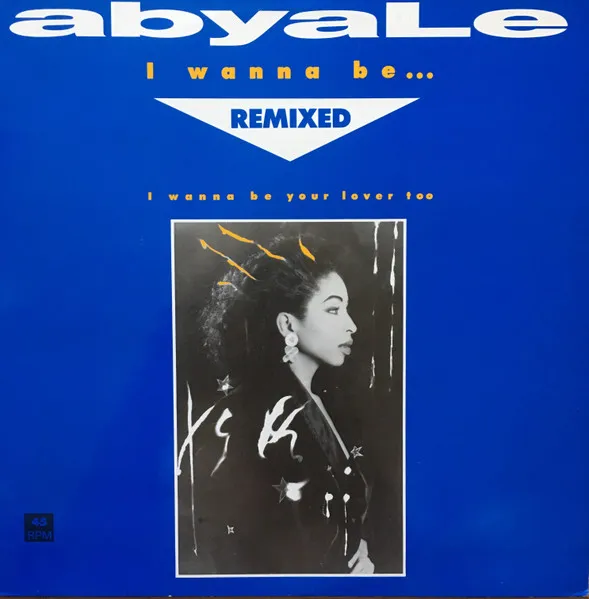 I Wanna Be Remixed