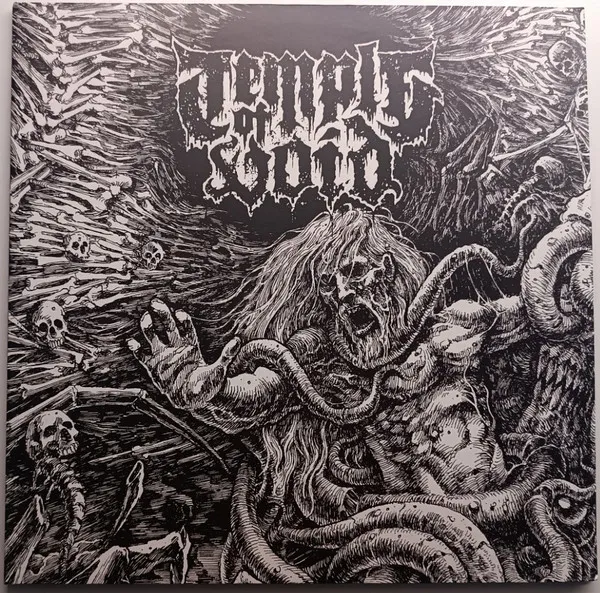 TEMPLE OF VOID