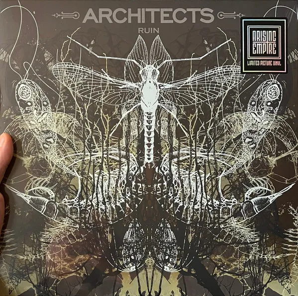 Ruin (Limited Edition) (Picture Disc)