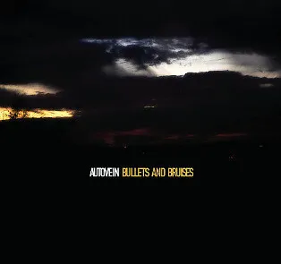 Bullets And Bruises (CD+DVD)