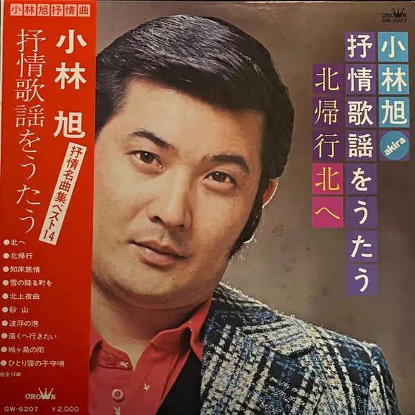 抒情歌謡を歌う／北帰行・北へ