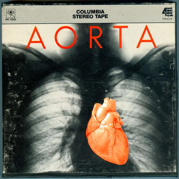 Aorta