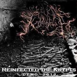Reinfected The Krypts