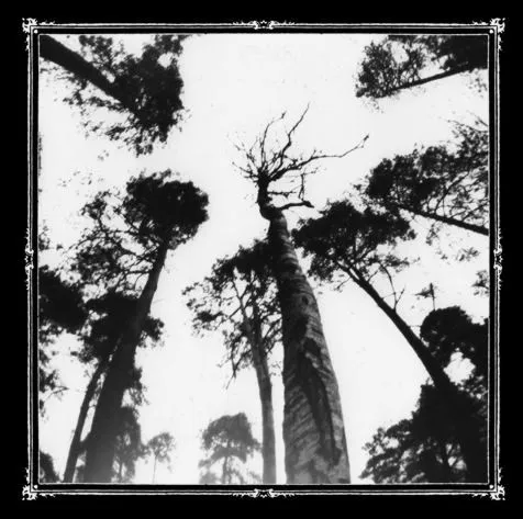 Ancestors Blood