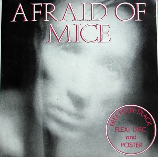 Free Four-Track Flexi-Disc And Poster