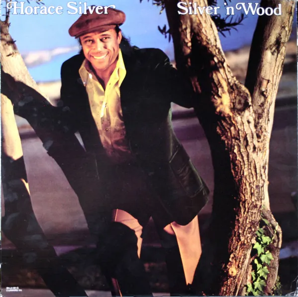 Silver 'N Wood