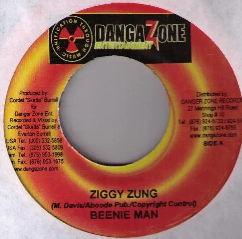 Ziggy Zung / Wet Up Urself