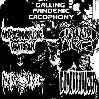 Galling Pandemic Cacophony