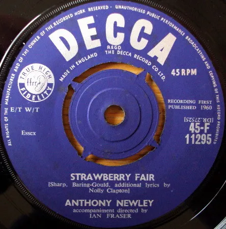 Strawberry Fair