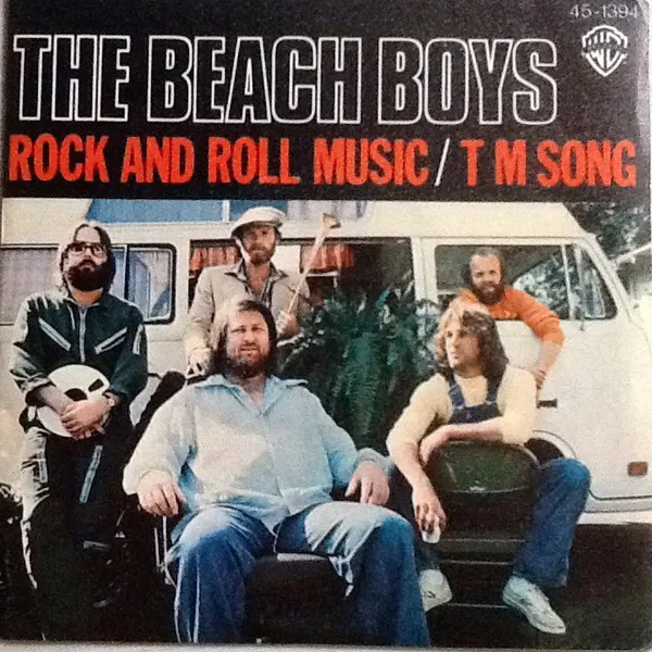 Rock And Roll Music / T M Song