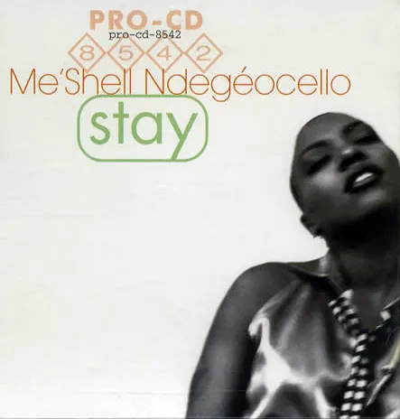 Me'Shell NdegéOcello