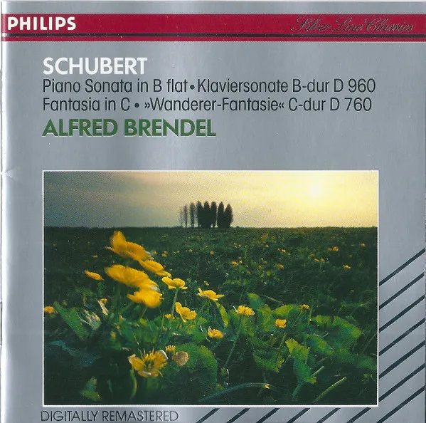 Sonata In B Flat, D.960 / "Wanderer" Fantasia