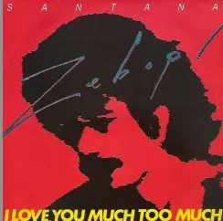 I Love You Much Too Much