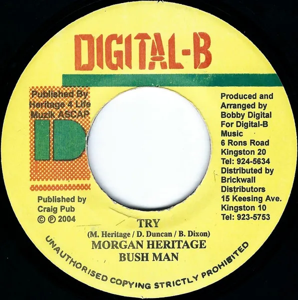 Try / Nuff A Dem