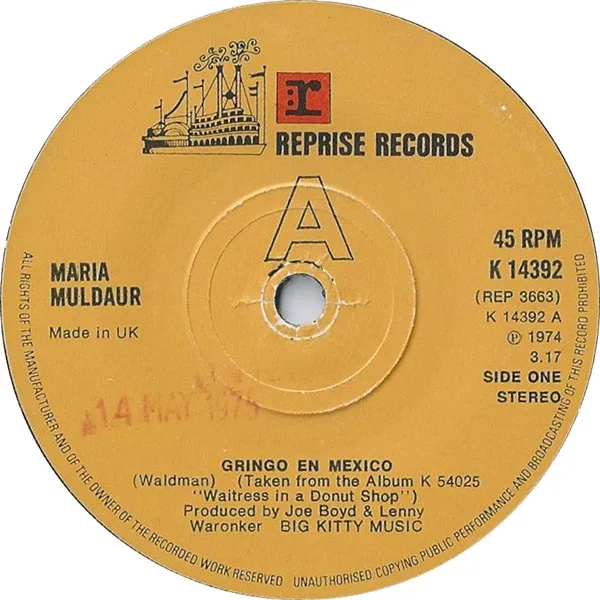 Gringo En Mexico