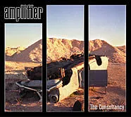 The Consultancy
